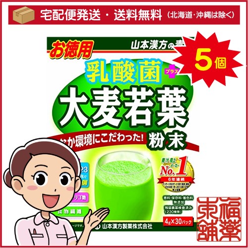 山本漢方 乳酸菌 大麦若葉 粉末(4gx30包)×5個 [宅配便・送料無料]
