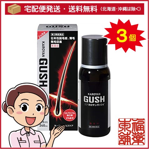 【第3類医薬品】NFカロヤンガッシュ(240mL)×3個 [宅配便・送料無料]の通販は 14,666円
