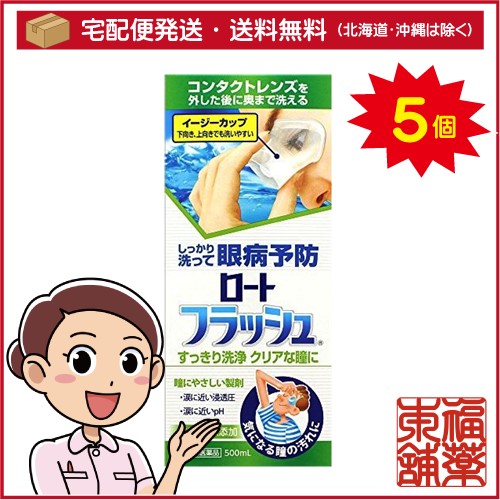 【第3類医薬品】ロートフラッシュ(500mL)×5個 [宅配便・送料無料]の通販は
