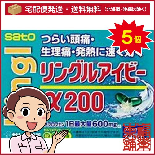 【第(2)類医薬品】リングルアイビーα200(24カプセル)×5個 [宅配便・送料無料]