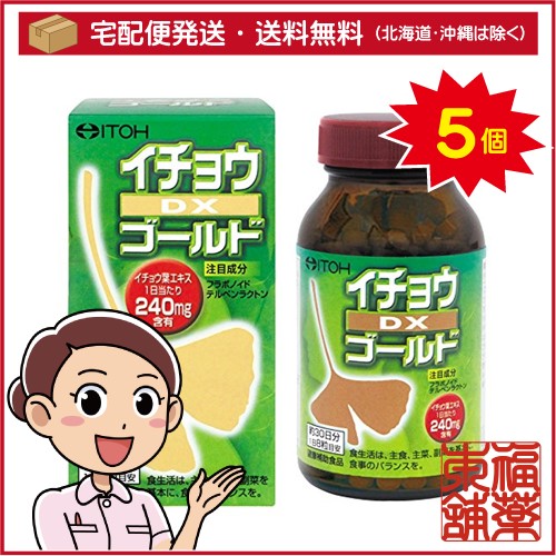 井藤漢方 イチョウDXゴールド(240粒入)×5個 [宅配便・送料無料]