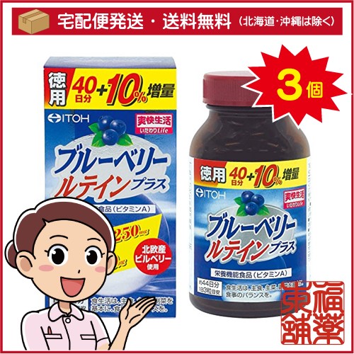 井藤漢方 ブルーベリールテインプラス(132粒)×3個 [宅配便・送料無料]