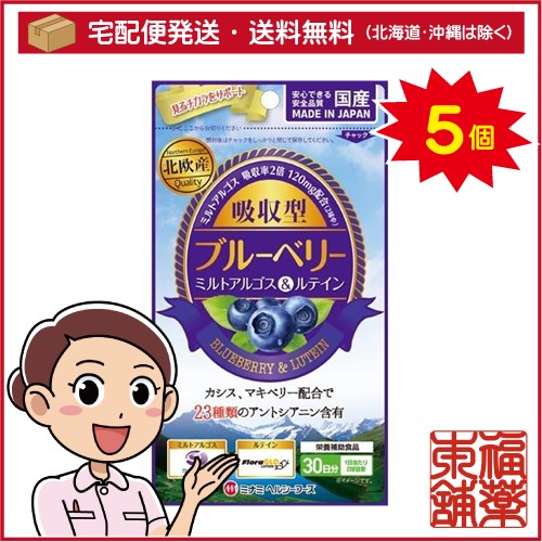 吸収型ブルーベリーとルテイン(60粒)×5個 [ゆうパケット・送料無料] 「YP30」