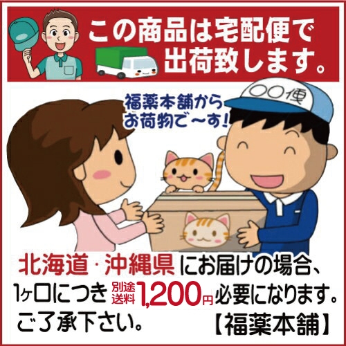 貼るぬくっこミニ １ケース 30個入×16箱 ［宅配便・送料無料] 衣類に貼る カイロ ミニ 10時間持続_1