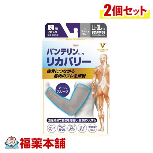 興和 バンテリンコーワリカバリー アームスリーブLL-3Lグレー ×2個 [ゆうパケット・送料無料] サポーター 腕用 腕全体 着圧 快適 ムレにくい 伸びやすく 動きやすい 屋外 スポーツ ウォーキング アウトドア 子育ての通販は