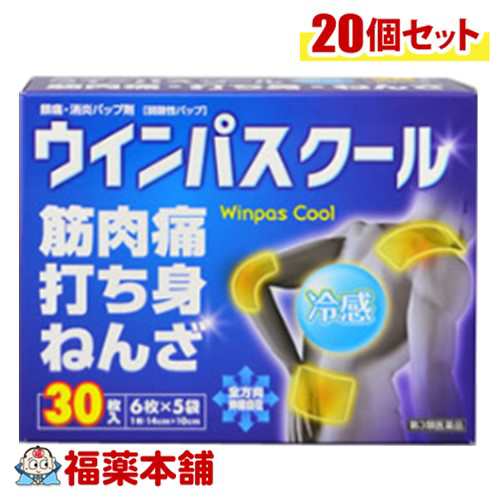 【第3類医薬品】帝國製薬 ウインパスクール 30枚入×20個 [宅配便・送料無料]