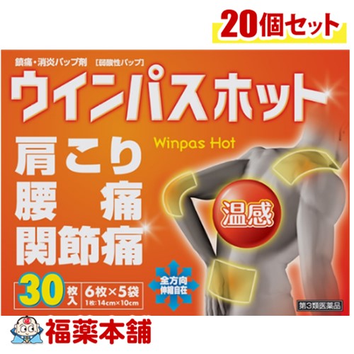 【第3類医薬品】帝國製薬 ウインパスホット 30枚入×20個 [宅配便・送料無料]