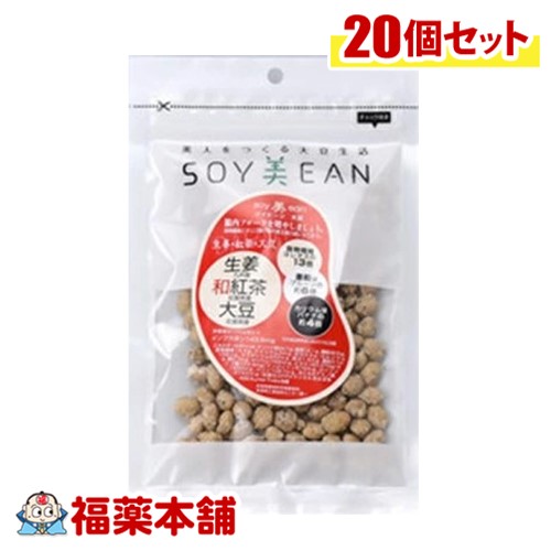 ＳＯＹ美ＥＡＮ 生姜・和紅茶・大豆72g×20個入 [宅配便・送料無料] 大豆 植物性たんぱく質 手軽に摂れる