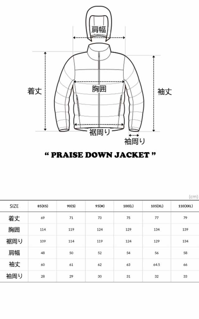 THE NORTH FACE ザノースフェイス PRAISE DOWN JACKET NJ1DN67A プレーズ ダウンジャケット アウター ブラック