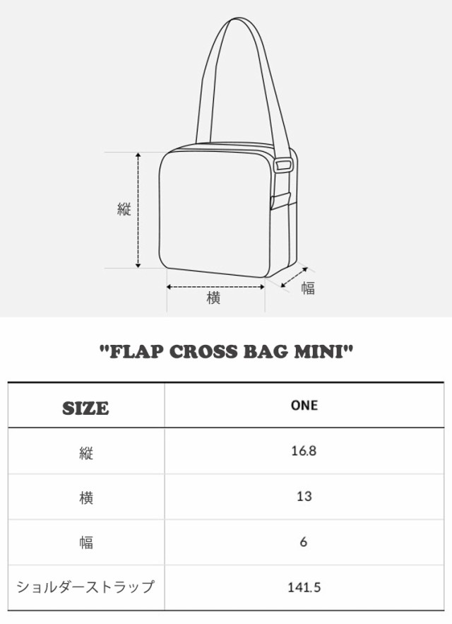 ノースフェイス クロスバッグ THE NORTH FACE FLAP CROSS BAG MINI