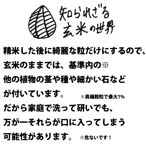 米 30kg 青森県産 2年産 まっしぐら 玄米30kg 米30キロ 青森まっし 人気の通販はau Pay マーケット E Zakkoku米