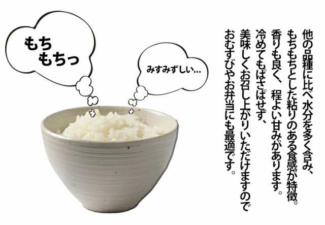 新米 米 お試し サンプル お米 精米 5年産 秋田県産 あきたこまち 白米2kg 送料無料 レターパック 安い ポイント消化 秋田こまち【米2キの通販はau  PAY マーケット - e-zakkoku米 | au PAY マーケット－通販サイト