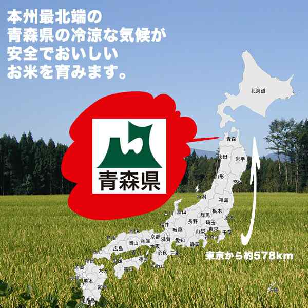 米 30kg 青森県産 4年産 つがるロマン 玄米30kg【米30キロ】青森ロマン