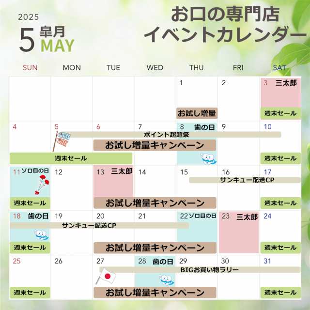 東伸洋行株式会社 洗ってクリア ダブル酵素 30錠 (入れ歯洗浄剤
