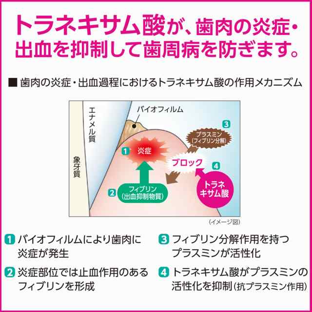 【即日発送対応可】送料無料 ライオン システマデンタルペーストα(アルファ)90ｇ×10本 歯磨き粉／ハミガキ粉｜au PAY マーケット