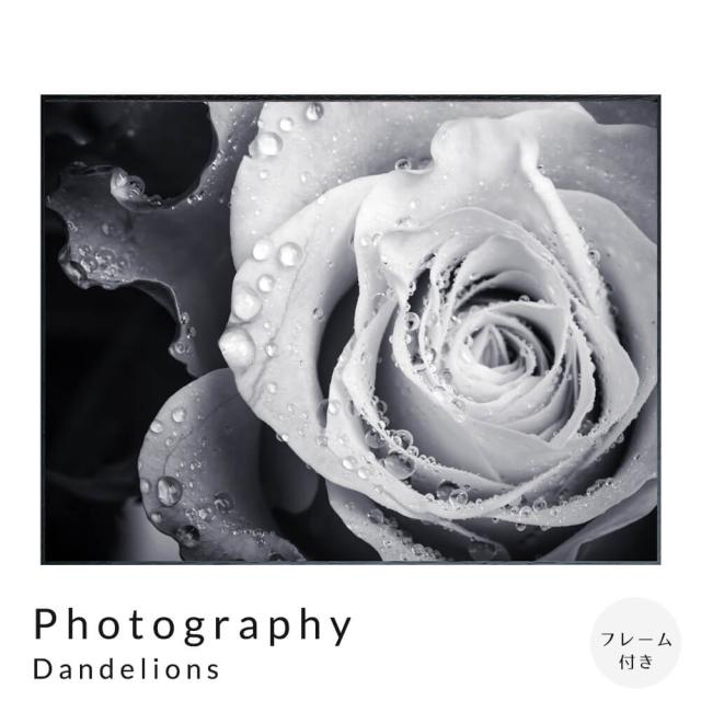 Ｐｈｏｔｏｇｒａｐｈｙ　Ｒｏｓｅ　アートポスター（フレーム付き） 22,484円