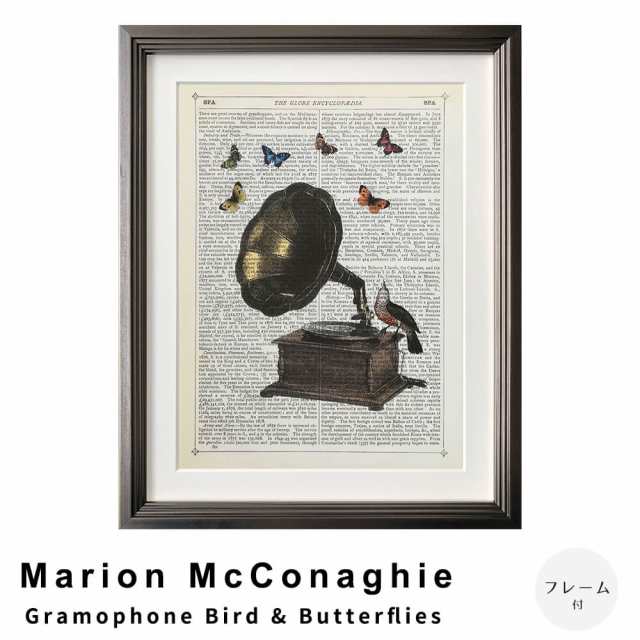 Ｍａｒｉｏｎ　ＭｃＣｏｎａｇｈｉｅ（マリオン　マコネギー）　Ｇｒａｍｏｐｈｏｎｅ　Ｂｉｒｄ　＆　Ｂｕｔｔｅｒｆｌｉｅｓ