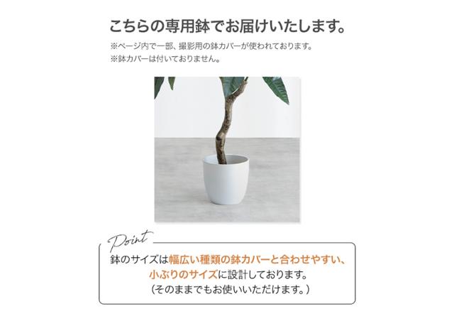 フェイクグリーン　人工観葉植物　おしゃれ　光触媒　観葉植物　高さ１２０ｃｍ　リアル　フェイク　防臭効果　インテリア　パキラ_8