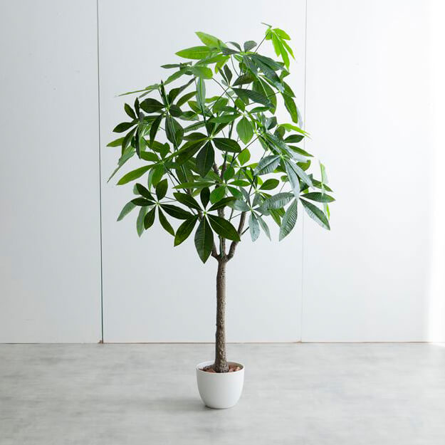 フェイクグリーン　人工観葉植物　おしゃれ　光触媒　観葉植物　高さ１５０ｃｍ　リアル　フェイク　防臭効果　インテリア　パキラ_4