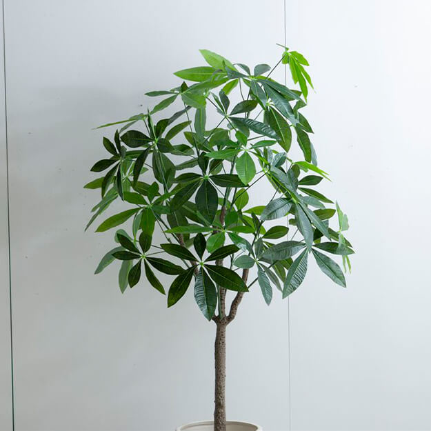 フェイクグリーン　人工観葉植物　おしゃれ　光触媒　観葉植物　高さ１５０ｃｍ　リアル　フェイク　防臭効果　インテリア　パキラ_5