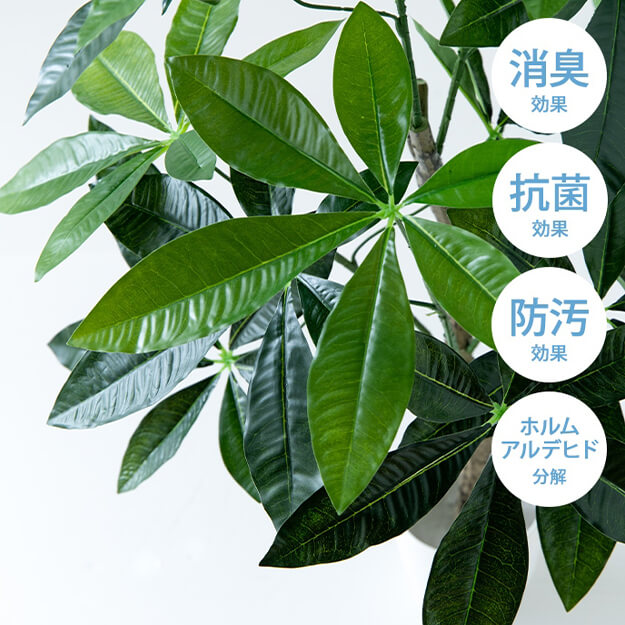 フェイクグリーン　人工観葉植物　おしゃれ　光触媒　観葉植物　高さ１５０ｃｍ　リアル　フェイク　防臭効果　インテリア　パキラ_7