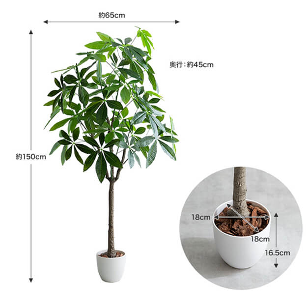 フェイクグリーン　人工観葉植物　おしゃれ　光触媒　観葉植物　高さ１５０ｃｍ　リアル　フェイク　防臭効果　インテリア　パキラ_9