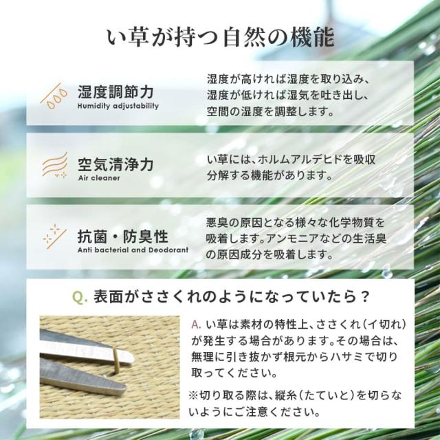 畳付き収納スツール　幅１２０ｃｍ　ロータイプ　収納スツール　畳収納　和モダンインテリア　リビング収納　子供部屋家具_11