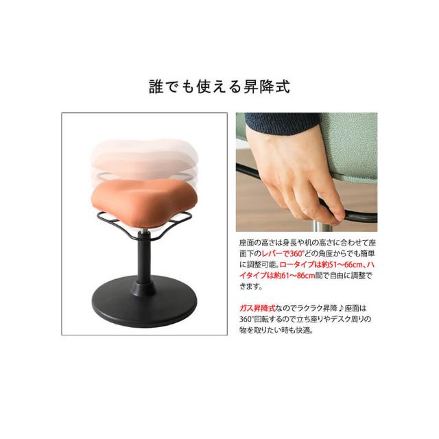 Ｐｏｐｏ（ポポ）　プロポーションスツール　スツール　骨盤矯正　骨盤　矯正　プロポーション　健康　健康器具　昇降式　ブラック_17