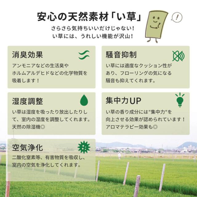 Ｕｋｙｏ（ウキョウ）国産い草ラグ　１９１×２５０ｃｍ　い草　い草マット　畳マット　ラグマット　いぐさ　いぐさマット　イグサマット