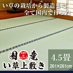 い草 引っ敷き 国産 い草上敷き 4.5畳 261×261糎 【 い草 引っ敷き つや消し 引っ敷き 床材 井草 い草引っ敷き 国産 国産い草上敷き ござ 純国産 】