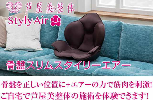 芦屋美整体 Styly Air 骨盤スリムスタイリーエアー CY-1153