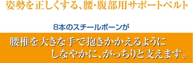 チュアンヌ ダイナクロス 腰サポーター 【 サポーター 腰 腰用サポーター 腰痛 コルセット 腰痛ベルト チュアンヌ社 フランス製　腰痛コルセット dynacross 腰痛サポーター】_2