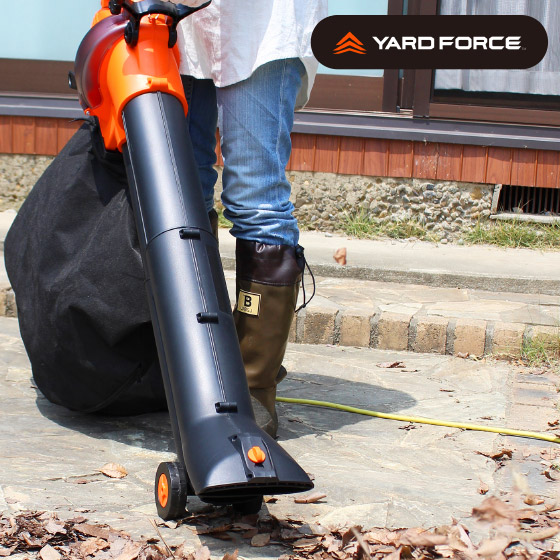 ラップトップ 準備する 郵便局 集塵機 ブロワー 印をつける 生き物 鈍い