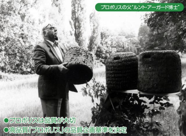 ビーマイスター プロポリスAGプラス（60粒） プロポリス ドイツ製 アーガード プロポリス粒 プロポリン レホルム製品 プロポリス粒 プロポリン ベルナー社 蜂の巣 ナー ドイツ フラボノイド ビタミン ミネラル_2