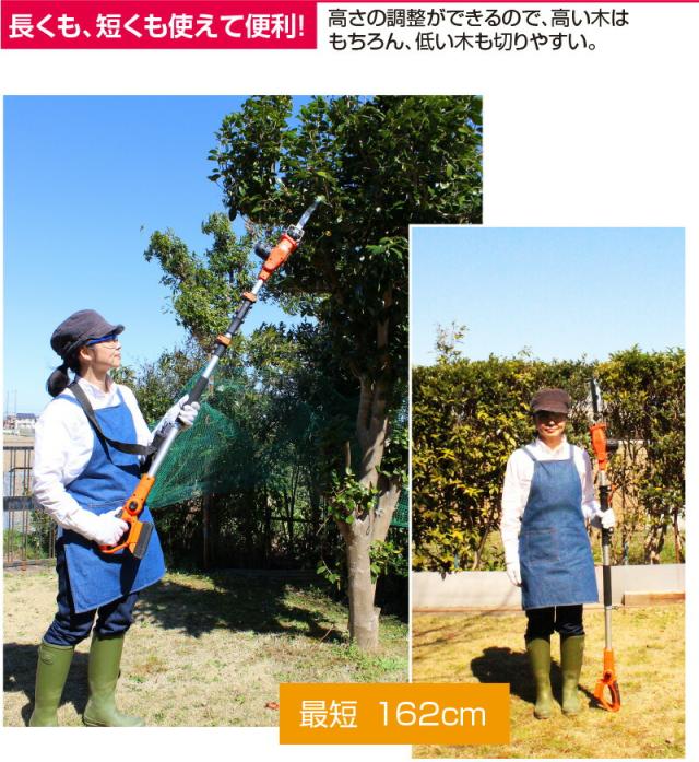 YARD FORCE コードレス 高枝電動のこぎり ライト 3m 【 高枝 のこぎり 充電式 バッテリー式 高枝切りチェーンソー チェーンソー 高枝切り 電動 ヤードフォース 鋸 のこぎり 】_2