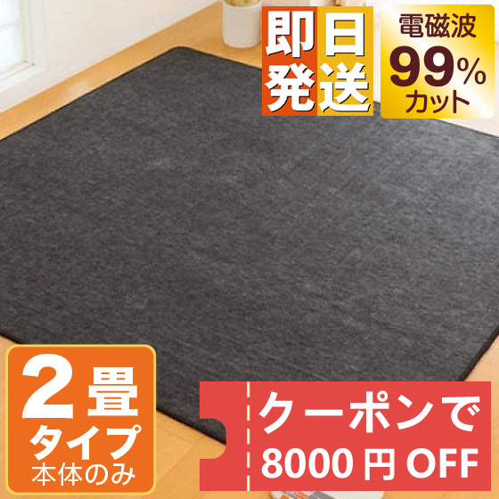 ホットカーペット 電磁波カット 2畳 176×176cm 本体のみ ZCB-20S ZENKEN ゼンケン 電気ホットカーペット 2畳タイプ ホットマット 電気マット 省エネ 節電 電磁波99％カット