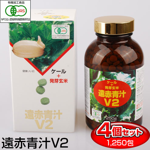 シナジー エネベイト 4箱セット