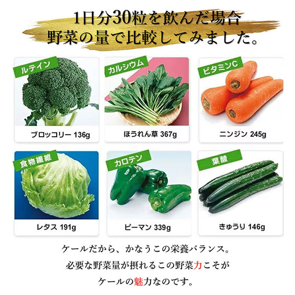 遠赤青汁 V1 SUPPER GOLD 1250粒 詰替用 3袋セット 遠赤ケール＋有機黒にんにく＋酵素液 納豆菌・乳酸菌・酵母菌 1412-3