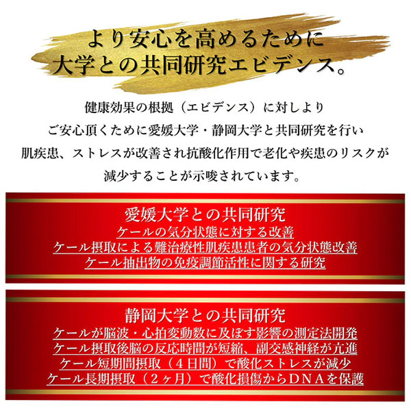 遠赤青汁 V1 SUPPER GOLD 1250粒 詰替用 3袋セット 遠赤ケール＋有機黒にんにく＋酵素液 納豆菌・乳酸菌・酵母菌 1412-3