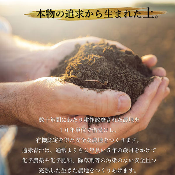 遠赤青汁 V1 SUPPER GOLD 1250粒 詰替用 3袋セット 遠赤ケール＋有機黒にんにく＋酵素液 納豆菌・乳酸菌・酵母菌 1412-3