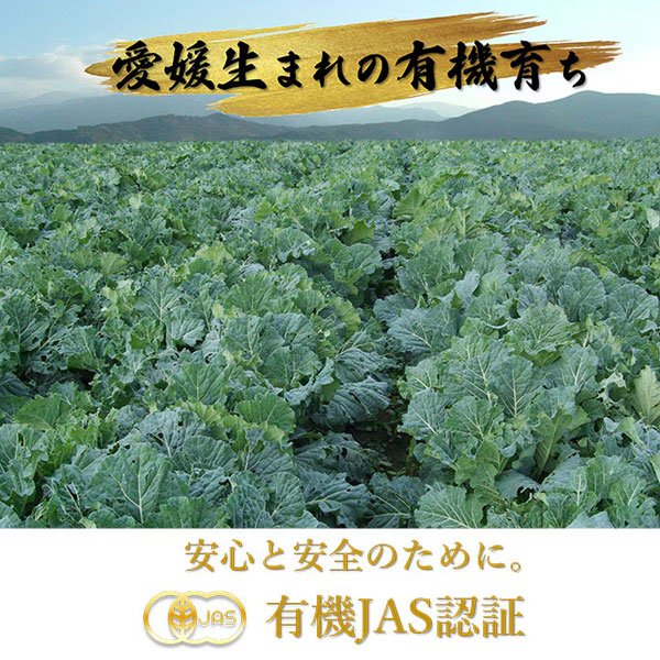 遠赤青汁 V1 SUPPER GOLD 1250粒 詰替用 3袋セット 遠赤ケール＋有機黒にんにく＋酵素液 納豆菌・乳酸菌・酵母菌 1412-3