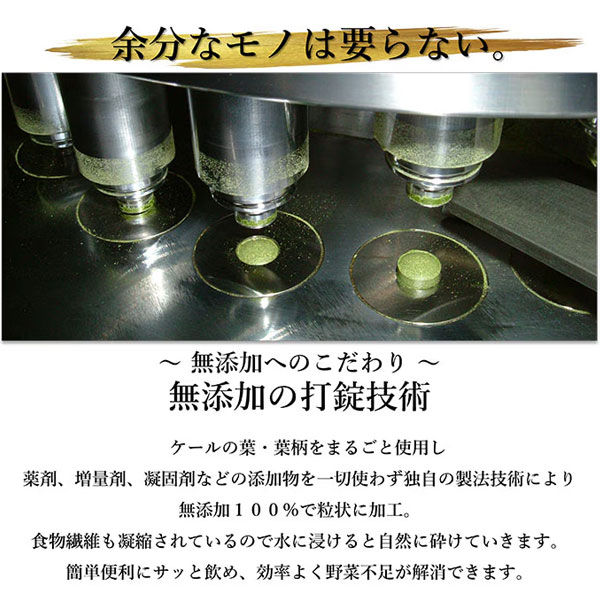 遠赤青汁 V1 DX 1250粒 ビン 5箱セット＋1箱サービス 合計6箱お届け 有機ケール＋天然ゼオライト 1510-5_3