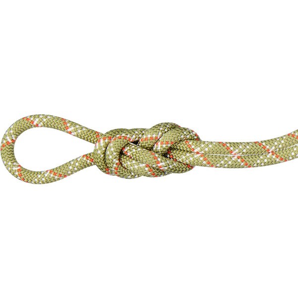 MAMMUT マムート 9.5 Gym Classic Rope 201004260B-01231 ロープの通販は 15,094円
