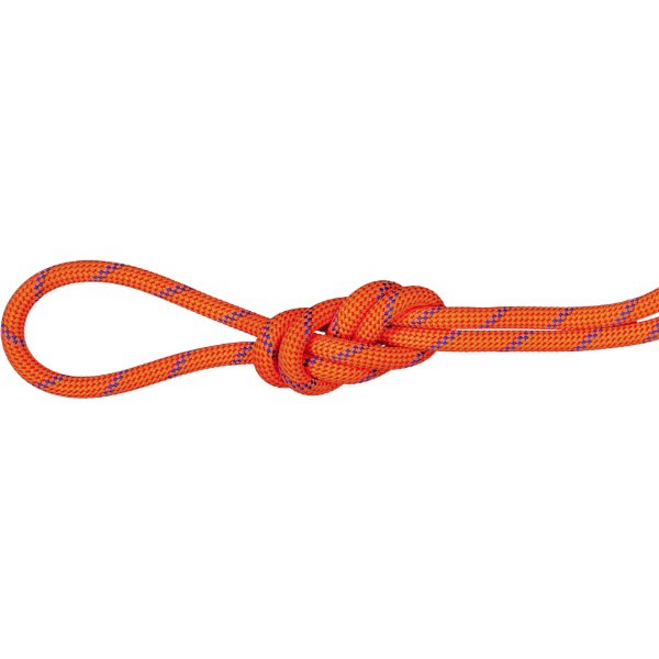 MAMMUT マムート 7.5 Alpine Sender Dry Rope Climbing Gear Mountaineering Ropes 60m アウトドア 201004330B-11250 ロープ