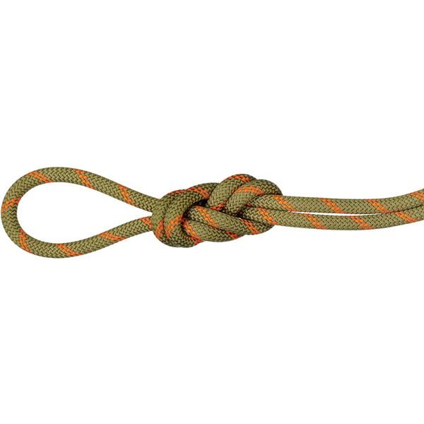 MAMMUT マムート 8.0 Alpine Dry Rope アウトドア アクセサリー 201004350B-11240の通販は