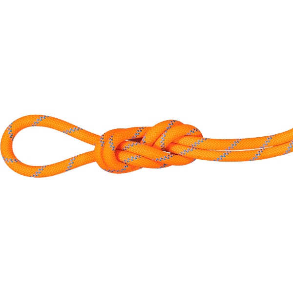 MAMMUT マムート 8.7 Alpine Sender Dry Rope 60m アウトドア クライミング用品 201005270-2285