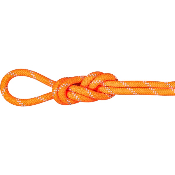 MAMMUT マムート 9.5 Alpine Dry Rope 50m アウトドア クライミング用品 201005520-2286