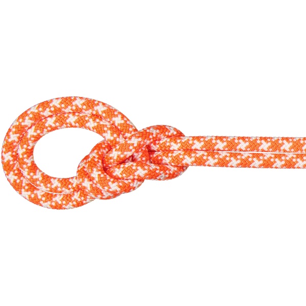 MAMMUT マムート 9.5 Crag Classic Rope 60m アウトドア クライミング用品 201005620-2237