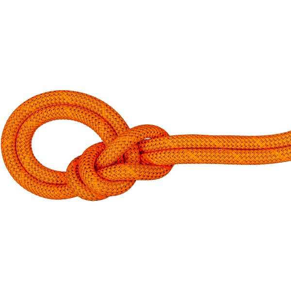 MAMMUT マムート 9.8 Crag Dry Rope 60m アウトドア クライミング用品 201005900-2284