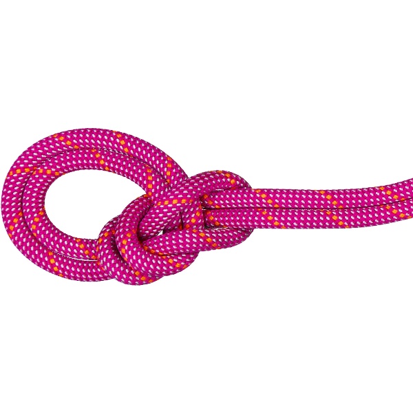 MAMMUT マムート 9.5 Crag Dry Rope 70m アウトドア クライミング用品 201006060-3789